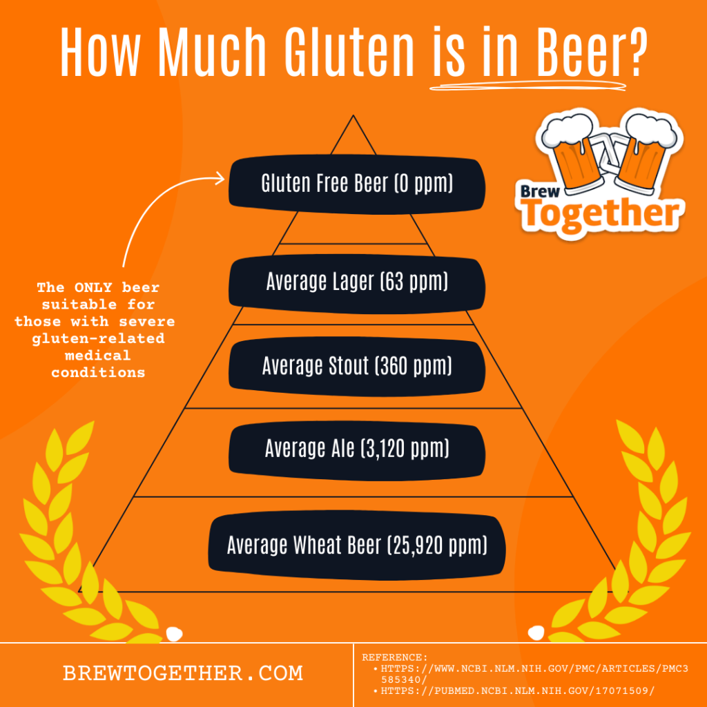 A graphic reading "How Much Gluten is in Beer?" and showing 5 types of beer and their average amount of gluten content:  Gluten Free Beer - 0 ppm
Average Lager - 63 ppm
Average Stout - 360 ppm
Average Ale - 3,120 ppm
Average Wheat Beer - 25,920 ppm  References:
//www.ncbi.nlm.nih.gov/pmc/articles/PMC3585340/
https://pubmed.ncbi.nlm.nih.gov/17071509///www.ncbi.nlm.nih.gov/pmc/articles/PMC3585340/
https://pubmed.ncbi.nlm.nih.gov/17071509/